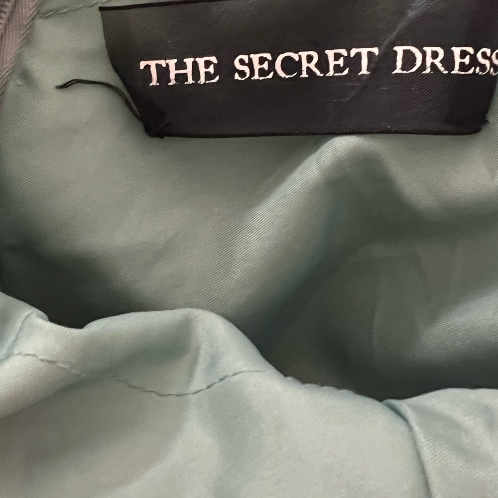 Alyce Paris prom dress Alyce Paris the secret dress size 8 - Picture 6 of 8
